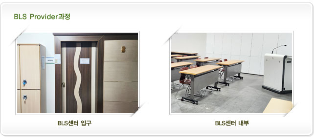 BLS Provider과정